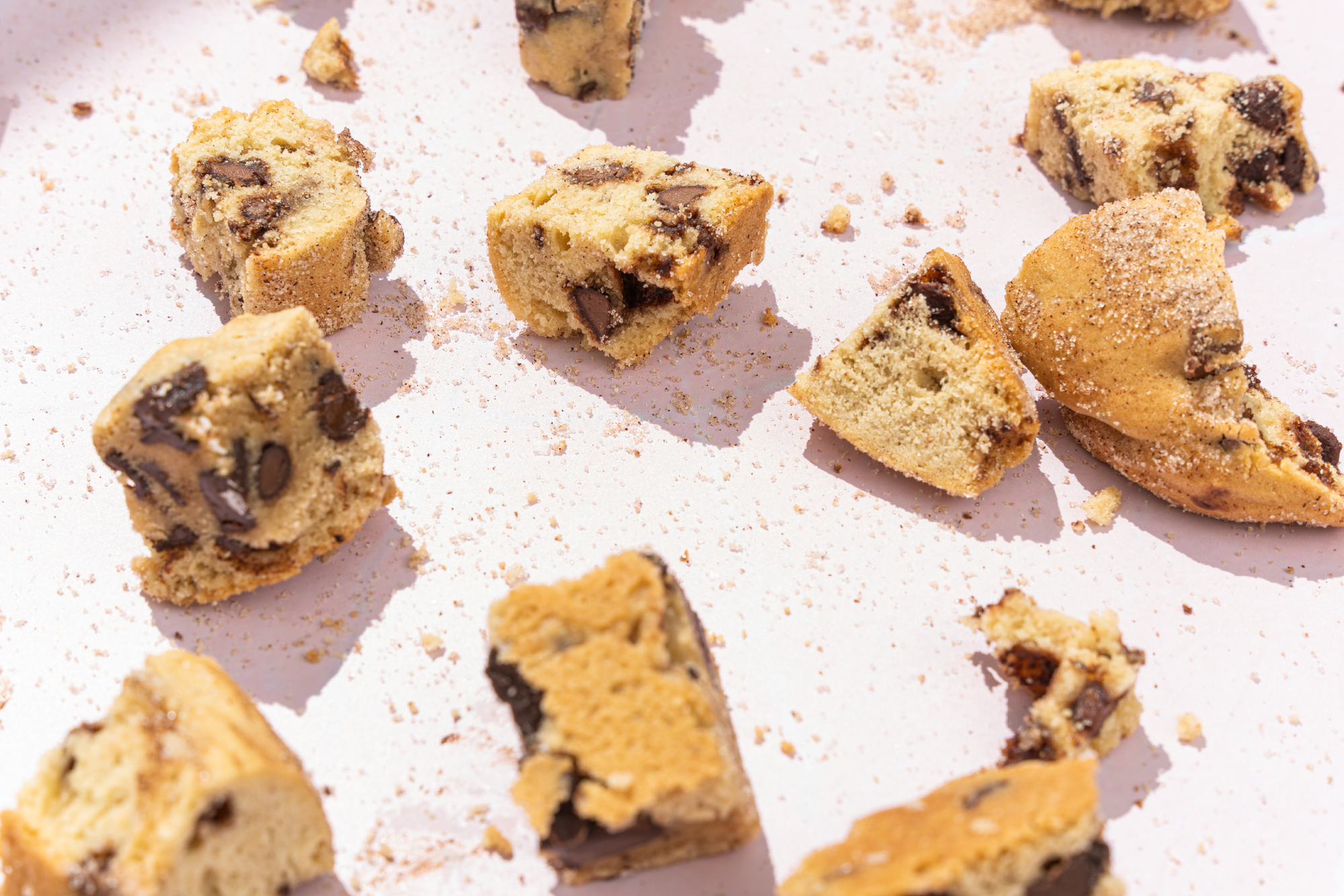 Scattered Milk Chocolate + Cinnamon Sugar Wandel cookie bites