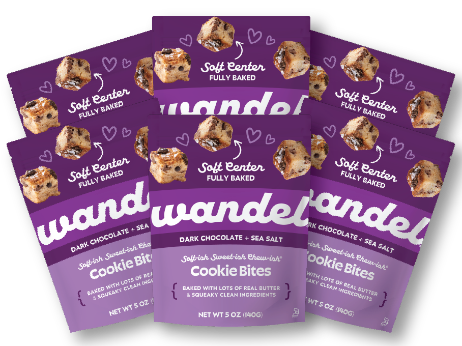 Dark Chocolate Chip + Sea Salt 5 oz Bites 6 pack